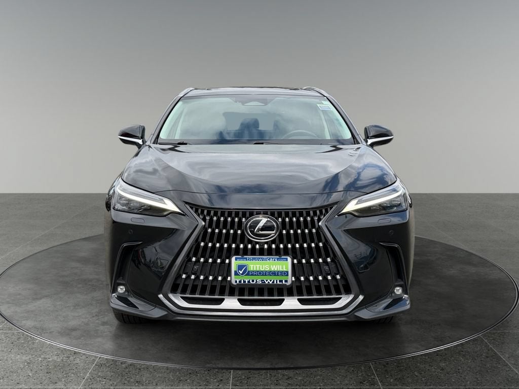 2024 Lexus NX 350h Luxury
