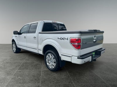 2013 Ford F-150 Platinum