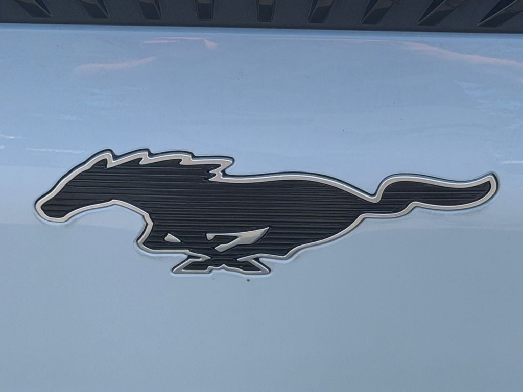 2021 Ford Mustang Mach-E Select