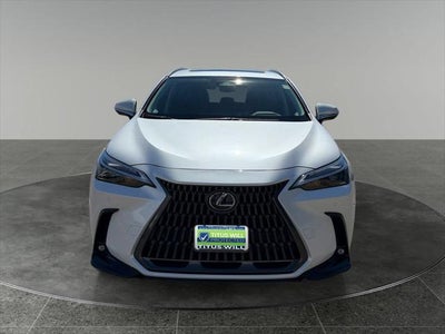 2024 Lexus NX 350 Premium