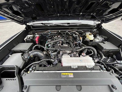 2024 Toyota Tacoma TRD Sport
