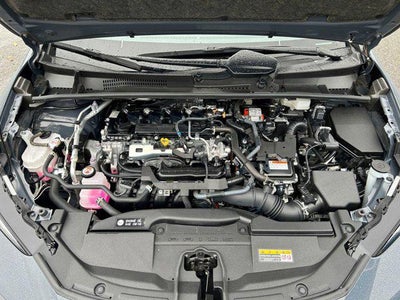 2023 Toyota Prius LE