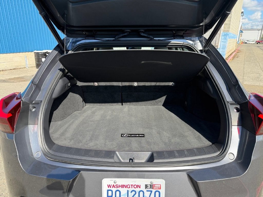 2019 Lexus UX 250h HyBrid AWD--1 Owner