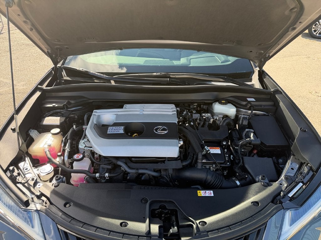 2019 Lexus UX 250h HyBrid AWD--1 Owner